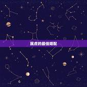 属虎的最佳婚配，属虎的最佳配对属相是什么？