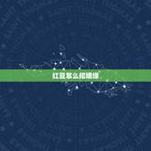 红豆怎么招姻缘，如何挑选红豆
