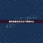 属牛的金木水火土73年缺什么，1973年出生属牛人木命
