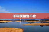 羊狗属相合不合，生肖狗和羊合不合