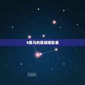 9属马的属相婚配表，属马的属相婚配表大全 属马的和什么属相最配