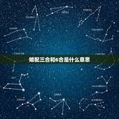 婚配三合和6合是什么意思，生肖六个合是什么意思