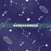 龙年和鼠年生肖婚配好吗，属相也有姻缘说么，属龙和属鼠配不配？