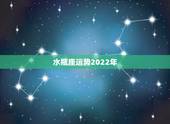 水瓶座运势2022年，2021年水瓶座全年运势