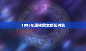 1995年属猪男女婚配对象，95年属猪男和属猪女配吗？