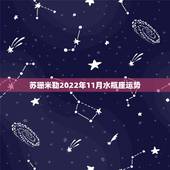 苏珊米勒2022年11月水瓶座运势，苏珊米勒2017年11月水瓶座运势
