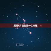 属蛇5月出生是什么命运，属蛇2001年5月出生命怎么样