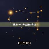 属虎1962年出生的命运，属虎的人，本年命运？