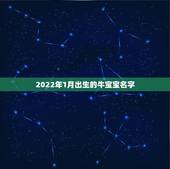 2022年1月出生的牛宝宝名字，2022 牛宝宝名字女