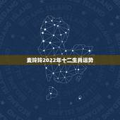 麦玲玲2022年十二生肖运势，麦玲玲2022 年生肖运势详解视频