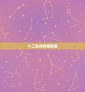 十二生肖的婚配表，十二生肖更佳婚配表2022