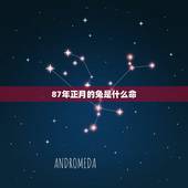 87年正月的兔是什么命，娘娘命是什么意思