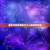 属蛇和属猪婚配生什么属相的宝宝，属蛇和属猪相配吗？
