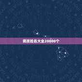 男孩姓名大全20000个，姓李的男孩名字大全两个字的