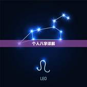 个人八字详解(免费版)，个人记账软件免费版