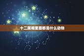 十二属相里面都是什么动物，十二生肖里面最可爱的动物是什么？
