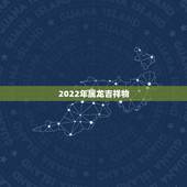 2022年属龙吉祥物，2022年属龙运势及运程
