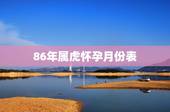 86年属虎怀孕月份表，2022年虎年不宜生子的属相