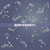 属鼠的6合生肖是什么，老鼠和什么生肖合不来