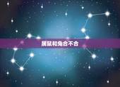 属鼠和兔合不合，属鼠2022 年运势及运程