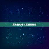 属蛇的和什么属相最配婚，十二生肖中什么与蛇相配