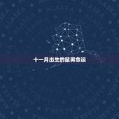 十一月出生的鼠男命运，农历11月属鼠的女人