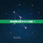 属相年份和金木水火土婚配，如何看什么年是分金木水火土年？