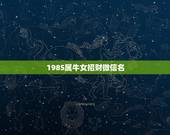 1985属牛女招财微信名，属牛85年的幸运数字是多少