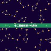 十二星座配哪个小宠物 被天使吻过眼睛的星座
