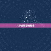 八字合婚日支相合，八字合婚年月日时都合好吗