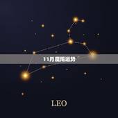 11月魔羯运势，摩羯座十一月的运势？