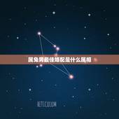 属兔男最佳婚配是什么属相，属兔的男人和什么属相最配