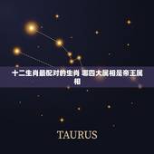 十二生肖最配对的生肖 哪四大属相是帝王属相
