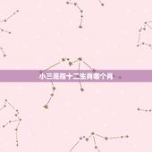 小三是指十二生肖哪个肖，俗称小三，指什么生肖