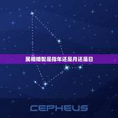 属相婚配是指年还是月还是日，属相是出生时辰重要还是月份重要？