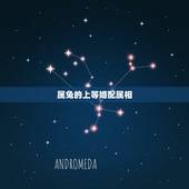 属兔的上等婚配属相，属兔配什么生肖更好婚姻