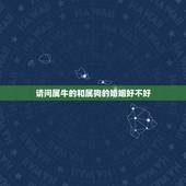 请问属牛的和属狗的婚姻好不好，属狗的与属牛的婚配好吗