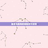 属羊与属狗的婚配好不好啊，属羊不能与属狗相配是不是迷信说法