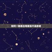 如何一眼看出母猪是不是很老，怎样辨别老母猪年龄