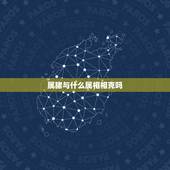 属猪与什么属相相克吗，属猪和什么属相相克 详细