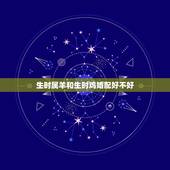 生时属羊和生时鸡婚配好不好，属羊和属鸡的合不合