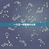 一九五一年属兔什么命，属兔的过了34岁就顺了