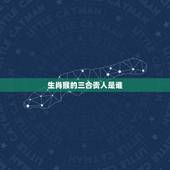 生肖猴的三合贵人是谁，属猴的三合和六个合贵人