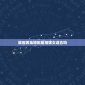 属相男兔婚配属相猪女适合吗，属猪的和属兔的相配吗？