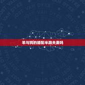 羊与狗的婚配半路夫妻吗，羊和狗相配婚姻如何
