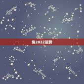 兔2022运势，2022年属兔运势女性