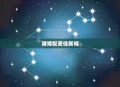 猪婚配更佳属相，1995属猪的三大坎