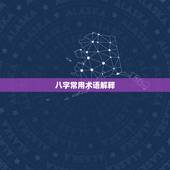 八字常用术语解释，八字名词解释