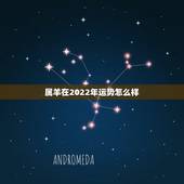 属羊在2022年运势怎么样，79属羊人2022年运势运程