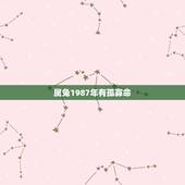 属兔1987年有孤寡命，属兔生在几月最命苦
